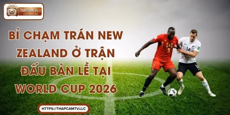 Bỉ Chạm Trán New Zealand Ở Trận Đấu Bản Lề Tại World Cup 2026